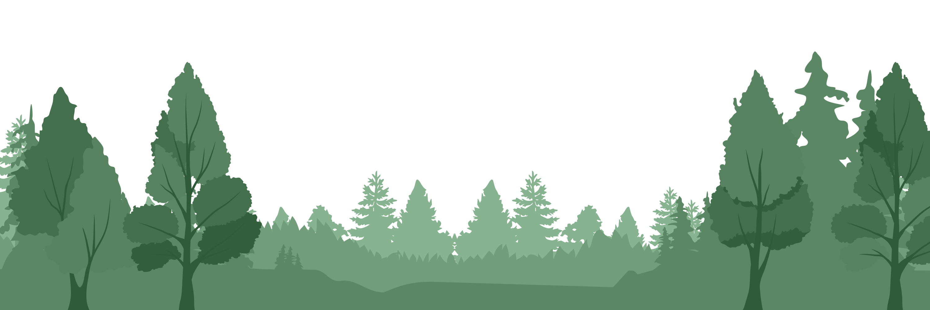 Forested landscape and nature